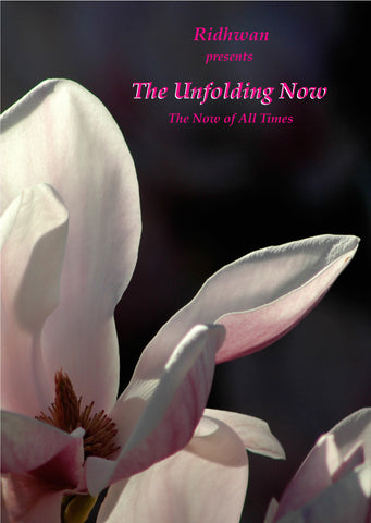 The Unfolding Now: The Now of All Times (DVD)